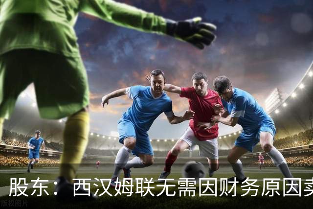 股东：西汉姆联无需因财务原因卖核心球员，要以最快速度重返英超